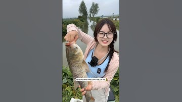 cô cần thủ câu cá hồ tự nhiên câu được con cá mè khủng và cái kết #fishing #cauca