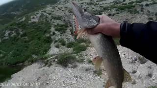Рыбалка в Дагестане. Ловля щук на волкер.