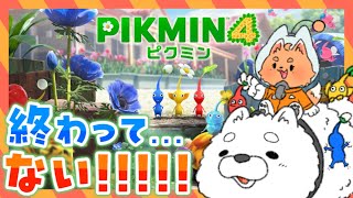 【ピクミン４】この星から出られない！？一級獣医師の方～！！！