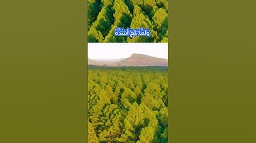 سورة يوسف و..كا.،نك تسمعها لأ،،و،.ل مر.ة🌺💮💓..🌹.🏵️💕؛💚بصوت الشيخ حمزة مدبو.ح🌼.🧡🌺،💝💔؛💞❤️..💙