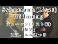 Schumann=Liszt :  „Widmung „ シューマン (リスト編) : 献呈　(歌詞・ゆる対訳つき)
