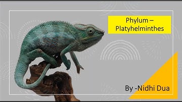 Phylum Platyhelminthes | Kingdom Animalia | Diversity of Life Forms | CSIR-NET | GurMantra