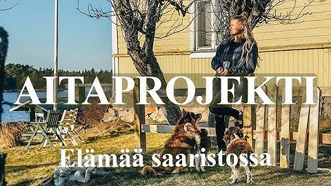 Pihan aitausprojekti ja kipeä kissa lääkäriin | Elämää saaristossa