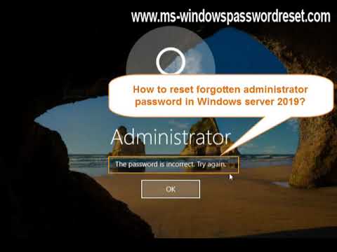 Windows Server 2019 Forgot Administrator Password How to Reset