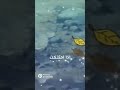 دروب ريمي لا تيأس دروب ريمي ريمي لاتيأس سبيستونيات