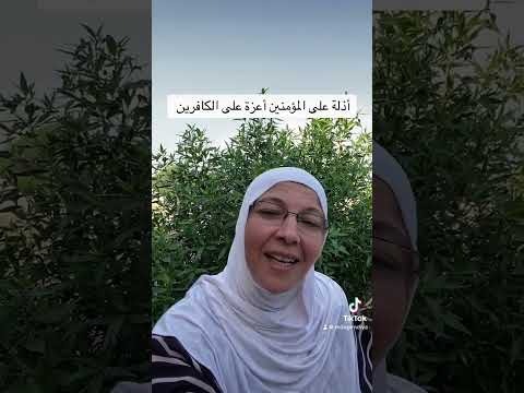 أذلة على المؤمنين أعزة على الكافرين مافائدة حرف الجر على ولماذا لم يفصل بين الجملتين بالواو