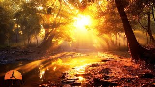 528 HZ Enchanted Morning Music 😍 Ethereal Positive Energy Music For A Happy Morning