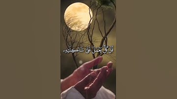 ﴿وننزل من القرآن ما هو شفاء ورحمة للمؤمنين ﴾ القارئ فارس عباد