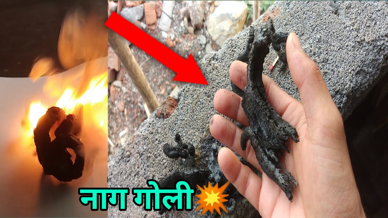 part 2 नाग गोली💥😱 nagauli Badi Matra Mein Kya Hota Hai YouTube