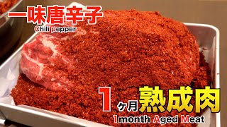 一味唐辛子使って1ヶ月熟成肉作ってみた Insane Chili pepper Dry Age Experiment!!