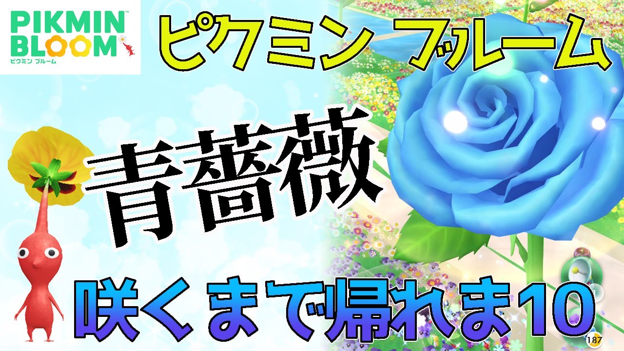 ピクミンブルーム 都会はすでに花盛り ピクミンブルームを先行プレイ Pikmin Bloom Youtube