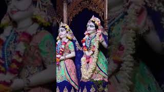 Today Darshan is Mayapur ISKCON 🩵🪷🩵2026/05/17