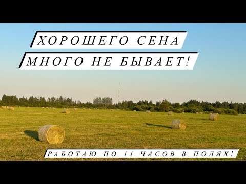 В день по