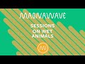 Pemf sessions on a wet animal  magnawave