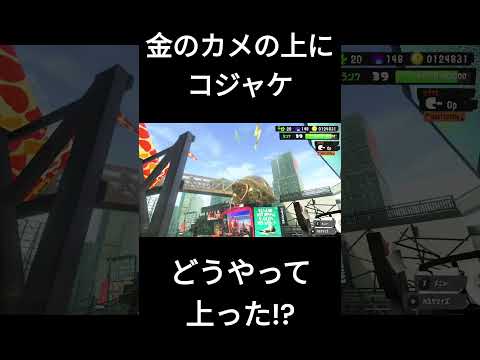 【スプラトゥーン3】誰がこのコジャケ見つけるの? #splatoon3 #スプラ3 #スプラトゥーン3 #shorts