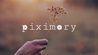 Novo Amor & Ed Tullett - Pteryla