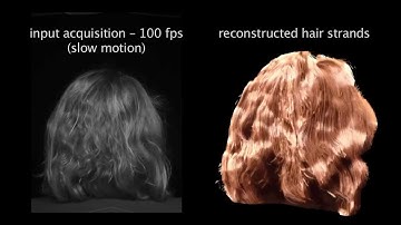 Dynamic Hair Capture (Princeton Technical Report 2011)