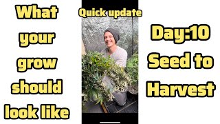 Update: Insider Look w/ Growing Grams and his Indoor Grow!