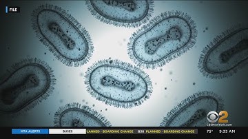 Hochul declares state disaster emergency as monkeypox cases soar