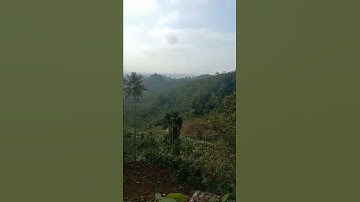 Pemandanga alam[[ Desa Koripan watumalang Wonosobo