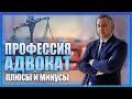Правда о профессии адвоката  Плюсы и минусы  2022