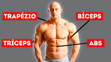 Que parte do corpo trabalha a flexão?