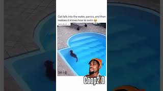 My cat forgot he knew how to swim 😂🤦🏾‍♂️￼