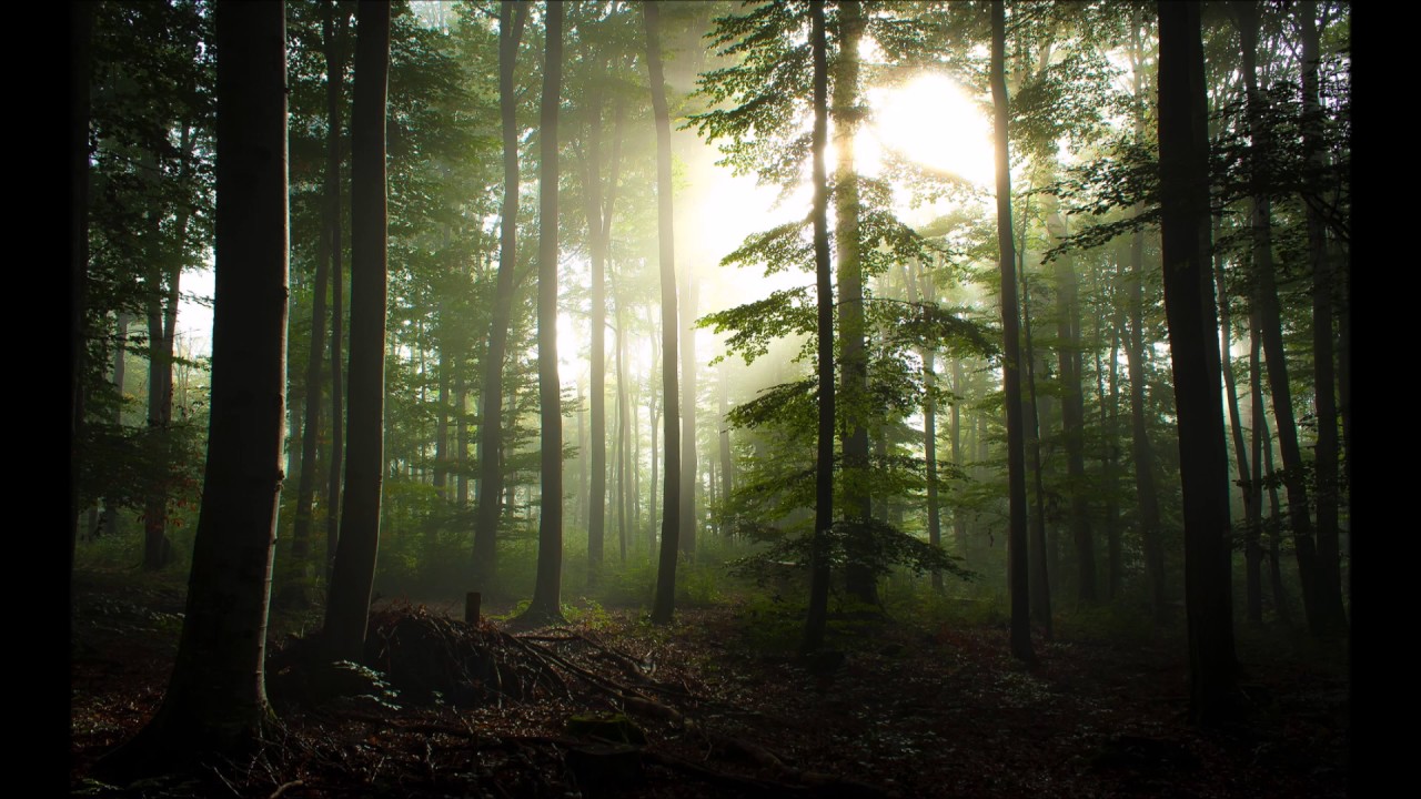 Flip'C - Yard Riddim (Grime/Bassline Instrumental)