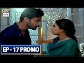 Watch Visaal Episode 17 (Promo) - ARY Digital Drama Online In Hd