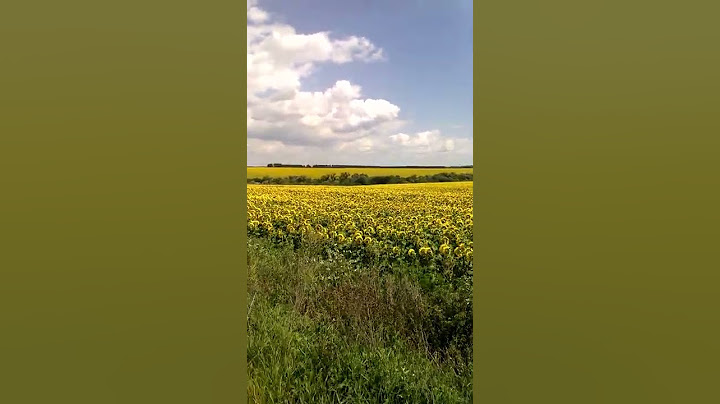 Прапор України блакитножовтий