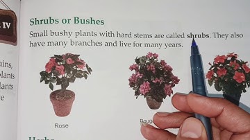 Class-3rd (E.V.S.)  Chapter-9 (Plants Around Us) Part-1