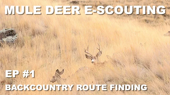 E-SCOUTING FOR MULE DEER: BACKCOUNTRY ROUTE FINDING - EP1