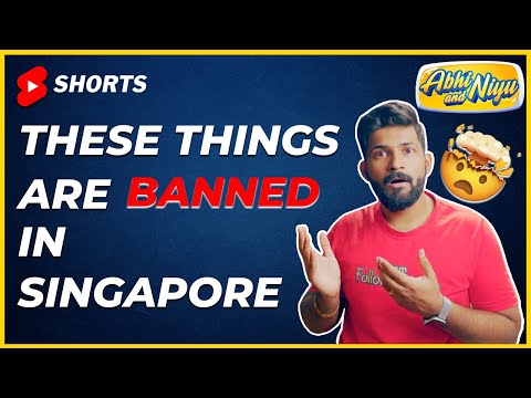 Singapore BANNED these things ! | #abhiandniyu #shorts