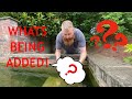 Revisiting the abandoned koi pond