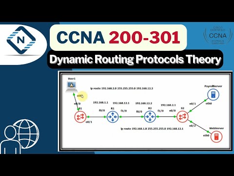 Free CCNA (NEW) | Dynamic Routing Protocols Theory | Day 30 | CCNA 200-301 Complete Course