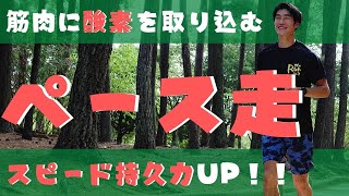 【ペース走】あまり知られていない効果・おすすめのやり方・ペース設定