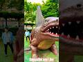 The coolest Dinosaur in the park #shorts #ytshorts