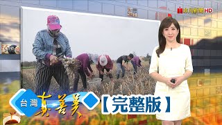 黑手轉行蛋糕代工 自動化年產兩百萬條/ 北漂青年返鄉當蒜農 闢通路搏海口蒜生機/ 十分鐘組裝帶著走 小資女孩闖家具紅海/書法界奧斯卡得主 書法大師篆刻傳奇人生【台灣真善美】2023.06.11✦全集✦