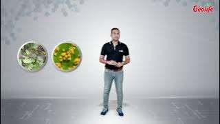 Geolife's Complete Nutrition Package