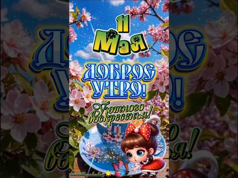 С добрым утром воскресенья, мои хорошие!🦋🌻🫖#11мая #доброеутро #популярное #рекомендации