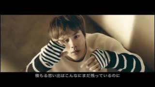 Spring day / 防弾少年団 日本語ver 歌詞付き