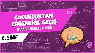 Çocukluktan Ergenliğe Geçiş 6. Sınıf Fen Bilimleri Konu Anlatımı 2025 - 2026