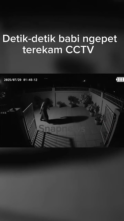 HEBOH! Sosok Diduga Babi Ngepet Terekam CCTV Jelas Banget!