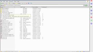 Server File Structure