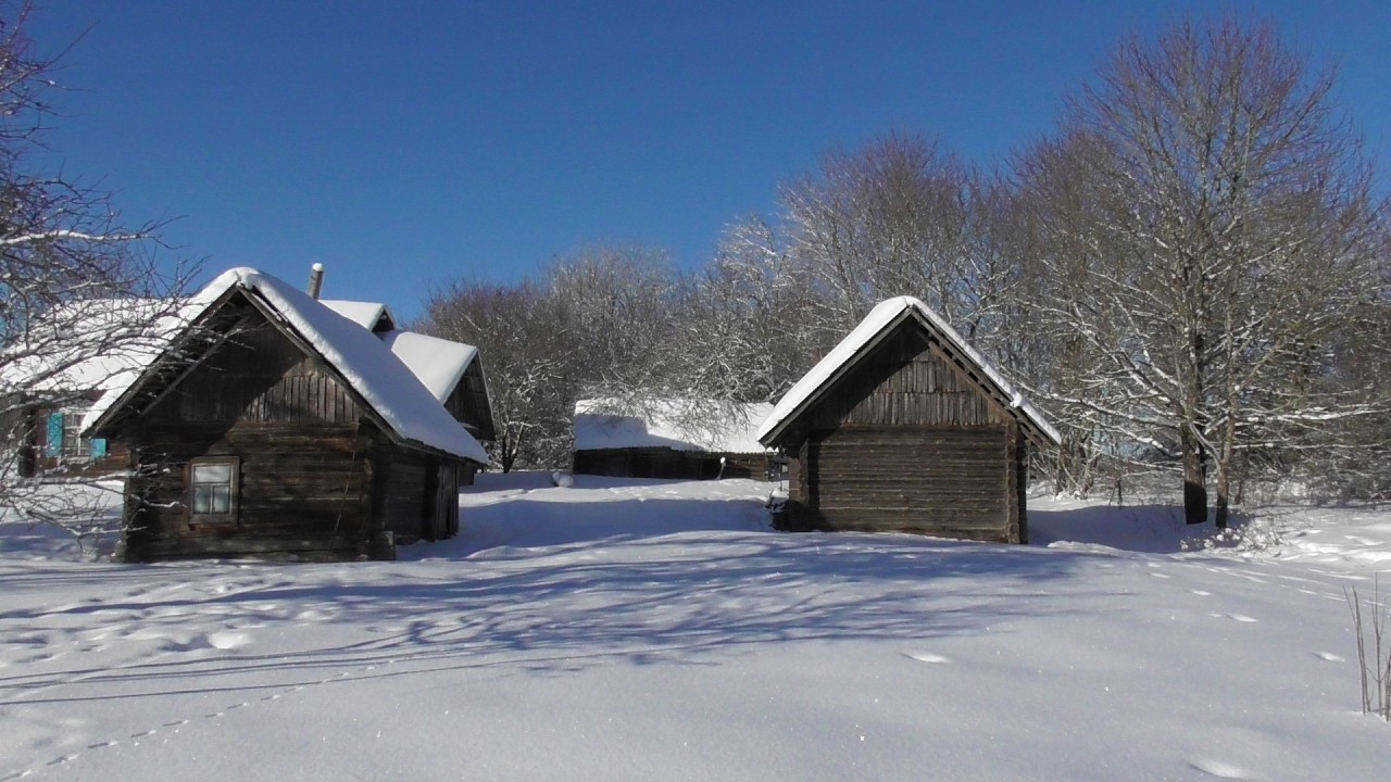 Из города в деревню. часть 14. Делаю клетку для кроликов.