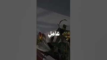 #اكسبلور #تلاوة_خاشعة #القرآن_الكريم #القرآن #تدبر_القرآن #راحة_نفسية #استجابة_الدعاء