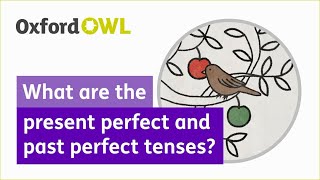 What are the present perfect and past perfect tenses? | Oxford Owl