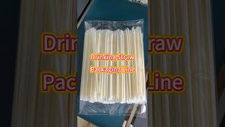 Plastic PP PLA Paper Straw Packing Machine