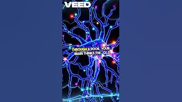 “Why You Forget Things Instantly”