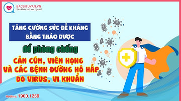 Tăng cường sức đề kháng bằng thảo dược để phòng chống cảm cúm, viêm họng và các bệnh đường hô hấp
